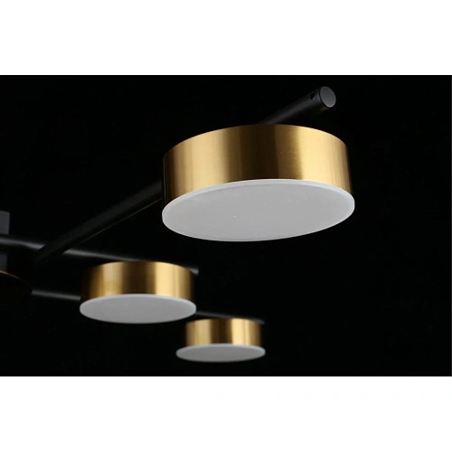 Люстра потолочная Aployt Delayn APL.042.07.56 Люстра потолочная Aployt Delayn APL.042.07.56