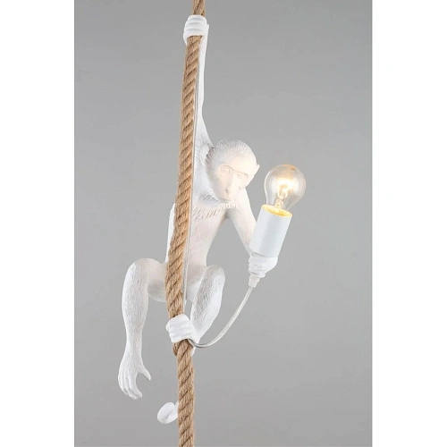 Светильник подвесной Aployt Magali APL.309.06.01 Светильник подвесной Aployt Magali APL.309.06.01