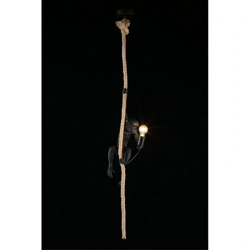 Светильник подвесной Aployt Magali APL.309.16.01 Светильник подвесной Aployt Magali APL.309.16.01