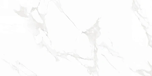 Керамогранит Neodom Supreme Venus Bianco Polished 60x120 N12003 Керамогранит Neodom Supreme Venus Bianco Polished 60x120 N12003