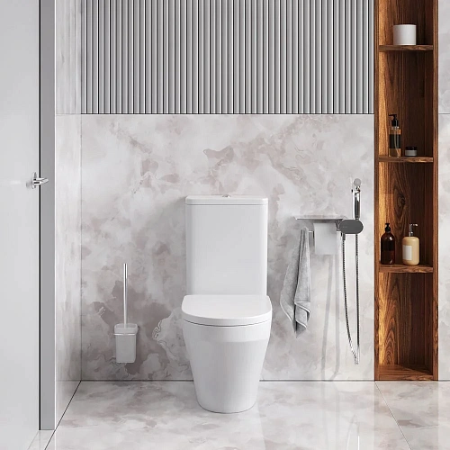 Унитаз напольный AM.PM Inspire V2.0 CK50C1704W с гигиеническим душем с сиденьем Унитаз напольный AM.PM Inspire V2.0 CK50C1704W с гигиеническим душем с сиденьем