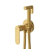 Гигиенический душ CEZARES STYLUS-DIF-BORO брашированное золото