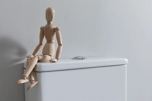 Чаша напольного унитаза Aquanet Fine Rimless FINE-C Soft Close FINE-C с сиденьем Чаша напольного унитаза Aquanet Fine Rimless FINE-C Soft Close FINE-C с сиденьем