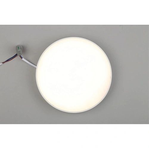 Светильник настенно-потолочный Aployt Evon APL.0113.09.24 Светильник настенно-потолочный Aployt Evon APL.0113.09.24