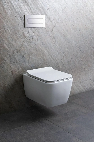 Унитаз подвесной Allen Brau Liberty 4.33007.21 с крышкой, белый матовый Унитаз подвесной Allen Brau Liberty 4.33007.21 с крышкой, белый матовый