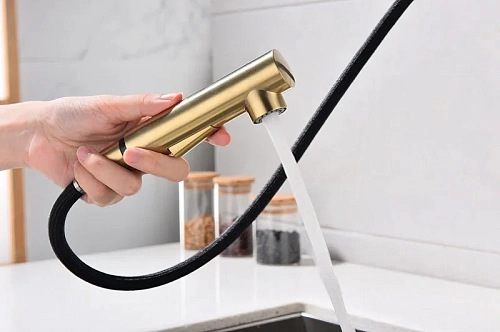 Смеситель для кухни Paulmark Neo брашированное золото Ne214419-BG Смеситель для кухни Paulmark Neo брашированное золото Ne214419-BG