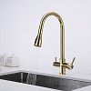 Смеситель для кухни Paulmark Lange золото La214212-G Смеситель для кухни Paulmark Lange золото La214212-G