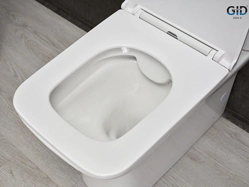 Унитаз напольный Gid Tn2125 62245Y белый 64.5x37x83 с крышкой микролифт Унитаз напольный Gid Tn2125 62245Y белый 64.5x37x83 с крышкой микролифт