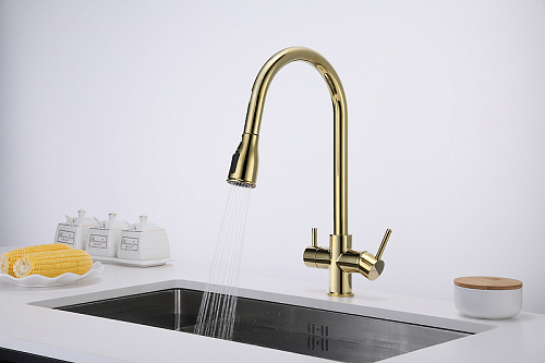 Смеситель для кухни Paulmark Lange золото La214212-G Смеситель для кухни Paulmark Lange золото La214212-G