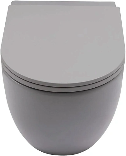 Унитаз подвесной Allen Brau Reality 4.32015.SG сиденье с микролифт серый матовый Унитаз подвесной Allen Brau Reality 4.32015.SG сиденье с микролифт серый матовый