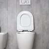 Унитаз подвесной Gid Tr2122b 62256Y белый 53.5x36x35 с крышкой микролифт Унитаз подвесной Gid Tr2122b 62256Y белый 53.5x36x35 с крышкой микролифт