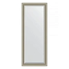 Зеркало в багетной раме Evoform Exclusive Floor BY 6120 81 x 201 см, хамелеон