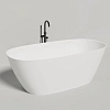 Ванна отдельностоящая Salini SOFIA 185x90 покраска по RAL полностью 102529MF из искусственого камня S-Stone Ванна отдельностоящая Salini SOFIA 185x90 покраска по RAL полностью 102529MF из искусственого камня S-Stone