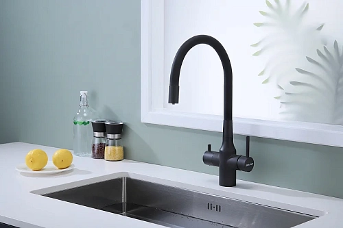 Смеситель для кухни Paulmark SALIX антрацит Sa213419-AN Смеситель для кухни Paulmark SALIX антрацит Sa213419-AN