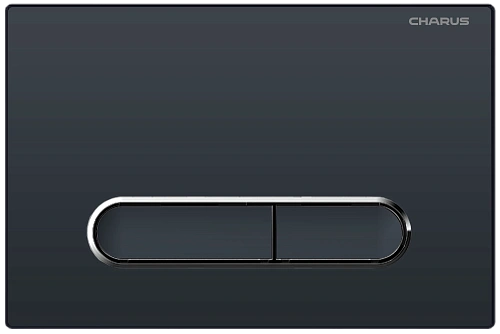 Клавиша смыва CHARUS MAGNUS FP.340.DW.01 черный матовый Клавиша смыва CHARUS MAGNUS FP.340.DW.01 черный матовый