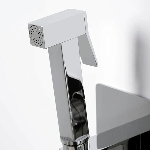Гигиенический душ WasserKRAFT Aller 10638 хром Гигиенический душ WasserKRAFT Aller 10638 хром