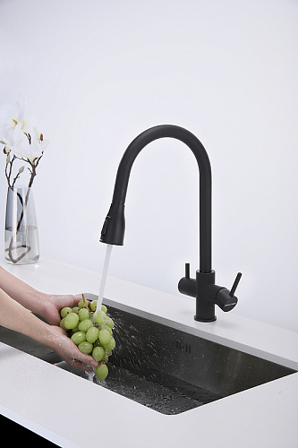 Смеситель для кухни Paulmark LANGE антрацит La214212-AN Смеситель для кухни Paulmark LANGE антрацит La214212-AN