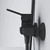 Смеситель для душа AM.PM X-Joy F85A20022 черный Смеситель для душа AM.PM X-Joy F85A20022 черный