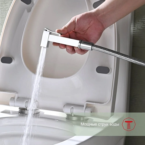 Гигиенический душ Raglo R01.51, хром Гигиенический душ Raglo R01.51, хром