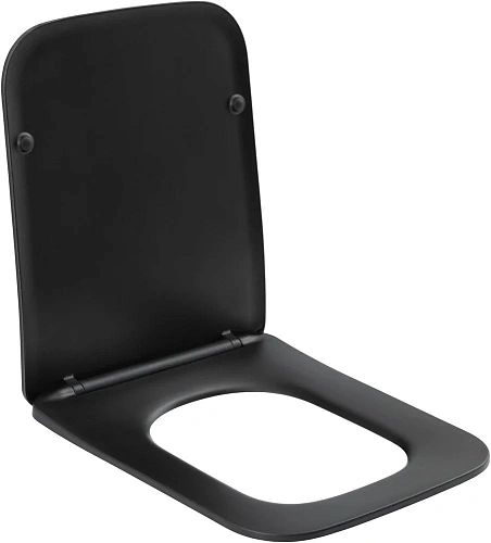 Унитаз подвесной Aquanet Rimless Tavr-W BL-103N-WHT black черный матовый TAVR-W BW с сиденьем Унитаз подвесной Aquanet Rimless Tavr-W BL-103N-WHT black черный матовый TAVR-W BW с сиденьем