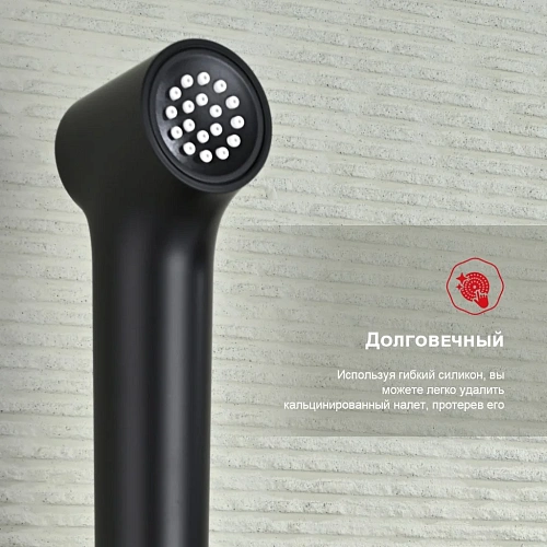 Гигиенический душ Raglo R03.51.06, черный Гигиенический душ Raglo R03.51.06, черный