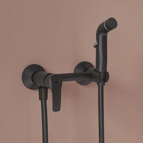 Гигиенический душ IDDIS Ray RAYBL00i08 матовый черный Гигиенический душ IDDIS Ray RAYBL00i08 матовый черный