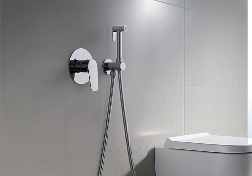 Гигиенический душ Aquatek БЕТТА AQ1119CR Хром, встраиваемый Гигиенический душ Aquatek БЕТТА AQ1119CR Хром, встраиваемый