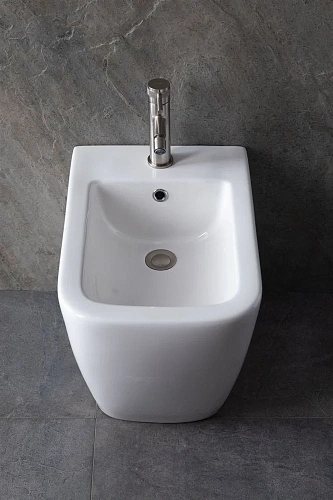 Биде напольное Allen Brau Infinity 4.21005.20 Биде напольное Allen Brau Infinity 4.21005.20