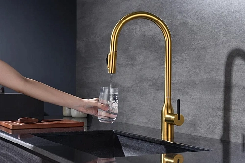 Смеситель для кухни Paulmark Universal брашированное золото Un213880-BG Смеситель для кухни Paulmark Universal брашированное золото Un213880-BG