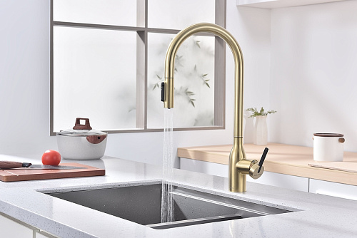 Смеситель для кухни Paulmark UNIVERSAL светлое золото Un213880-LG Смеситель для кухни Paulmark UNIVERSAL светлое золото Un213880-LG