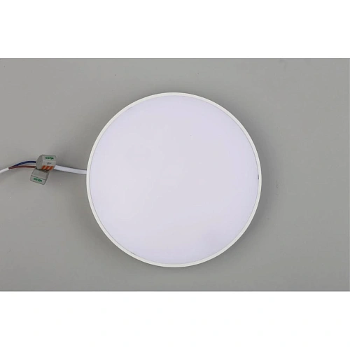 Светильник настенно-потолочный Aployt Evon APL.0114.09.24 Светильник настенно-потолочный Aployt Evon APL.0114.09.24