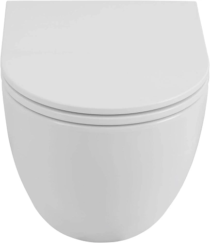 Унитаз подвесной Allen Brau Priority Tornado 4.31009.20 без сиденья белый глянец Унитаз подвесной Allen Brau Priority Tornado 4.31009.20 без сиденья белый глянец