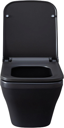 Унитаз подвесной Allen Brau Infinity 4.21011.AN с крышкой, антрацит