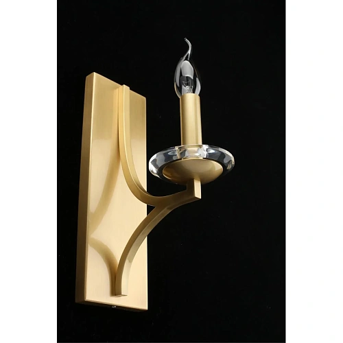 Светильник настенный (Бра) Aployt Wikta APL.805.01.01 Светильник настенный (Бра) Aployt Wikta APL.805.01.01