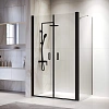 Душевой уголок RGW PA-144B (PA-104B+Z-050-2B+O-204B) 1000x800 мм 060814408-14 черный Easy Clean Душевой уголок RGW PA-144B (PA-104B+Z-050-2B+O-204B) 1000x800 мм 060814408-14 черный Easy Clean