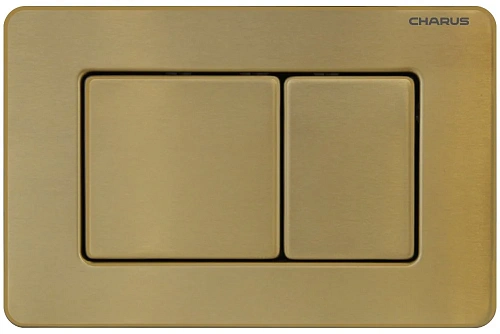 Клавиша смыва CHARUS ROBUSTO FP.310.BG.05 брашированное золото Клавиша смыва CHARUS ROBUSTO FP.310.BG.05 брашированное золото