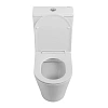 Унитаз напольный BelBagno FLAY-R BB2149CPR/SC/BB2149T безободковый Унитаз напольный BelBagno FLAY-R BB2149CPR/SC/BB2149T безободковый
