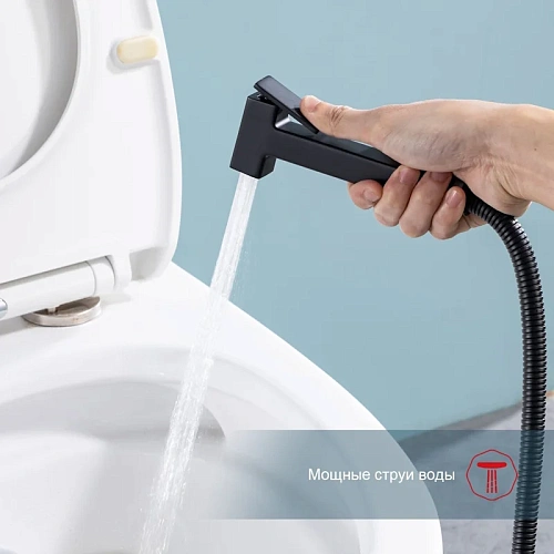 Гигиенический душ Raglo R51.55.06 встраиваемый, черный Гигиенический душ Raglo R51.55.06 встраиваемый, черный