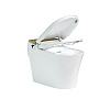 Унитаз SMART СмартЖум Т80-S TOILET80SG с сиденьем Унитаз SMART СмартЖум Т80-S TOILET80SG с сиденьем