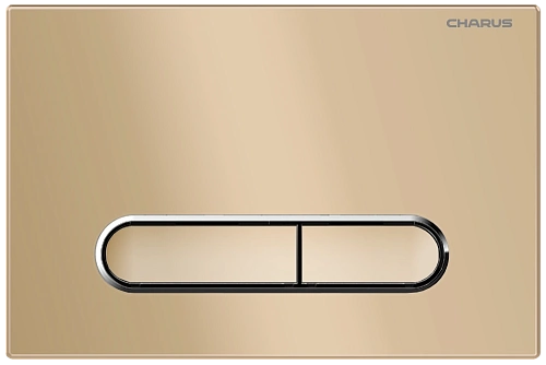 Клавиша смыва CHARUS MAGNUS FP.340.51.01 матовый песок Клавиша смыва CHARUS MAGNUS FP.340.51.01 матовый песок