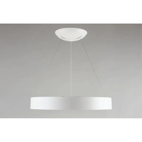 Люстра подвесная Aployt Michell APL.052.03.60 Люстра подвесная Aployt Michell APL.052.03.60