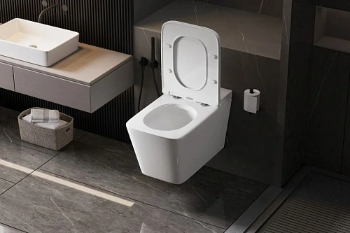 Унитаз подвесной ABBER Rechteck AC1202P белый с импульсным смывом с крышкой микролифт Унитаз подвесной ABBER Rechteck AC1202P белый с импульсным смывом с крышкой микролифт