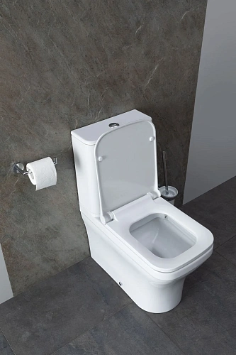 Чаша напольного унитаза Allen Brau Infinity 4.21012.20 с крышкой, белый глянец Чаша напольного унитаза Allen Brau Infinity 4.21012.20 с крышкой, белый глянец