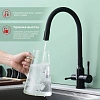 Смеситель для кухни Raglo R81.64.06 с гибким изливом с подключением к фильтру, черный Смеситель для кухни Raglo R81.64.06 с гибким изливом с подключением к фильтру, черный