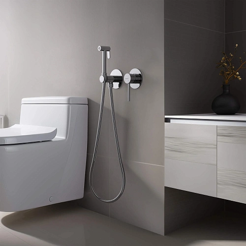 Гигиенический душ Aquatek ЕВРОПА AQ1319CR Хром, встраиваемый Гигиенический душ Aquatek ЕВРОПА AQ1319CR Хром, встраиваемый