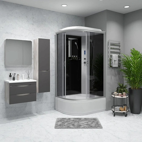 Душевая кабина Niagara Classic NG-2510-14RP (1200х800х2150) высокий поддон (40см) стекло тонированное 25101434RP Душевая кабина Niagara Classic NG-2510-14RP (1200х800х2150) высокий поддон (40см) стекло тонированное 25101434RP