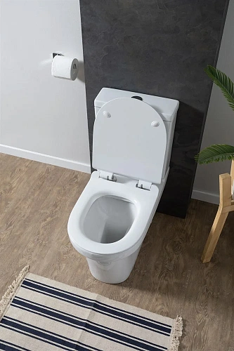 Чаша напольного унитаза Aquanet Rimless Nova-C1 BL-101N-TPT-A NOVA-C1 с сиденьем Чаша напольного унитаза Aquanet Rimless Nova-C1 BL-101N-TPT-A NOVA-C1 с сиденьем