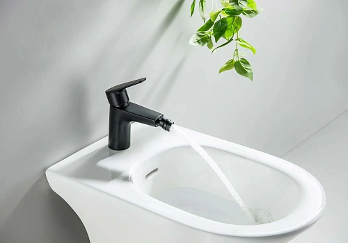 Смеситель для биде Aquatek БЕТТА AQ1118MB Черный матовый Смеситель для биде Aquatek БЕТТА AQ1118MB Черный матовый