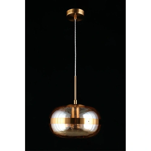 Светильник подвесной Aployt Gabriela APL.305.16.01 Светильник подвесной Aployt Gabriela APL.305.16.01