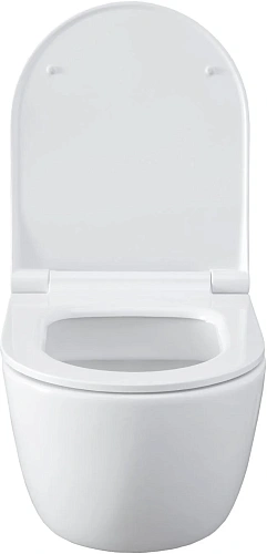 Комплект унитаза Allen Brau Priority 00301296/8.9466.0.000.000.1 (00316508) с инсталляцией, белый глянец Комплект унитаза Allen Brau Priority 00301296/8.9466.0.000.000.1 (00316508) с инсталляцией, белый глянец